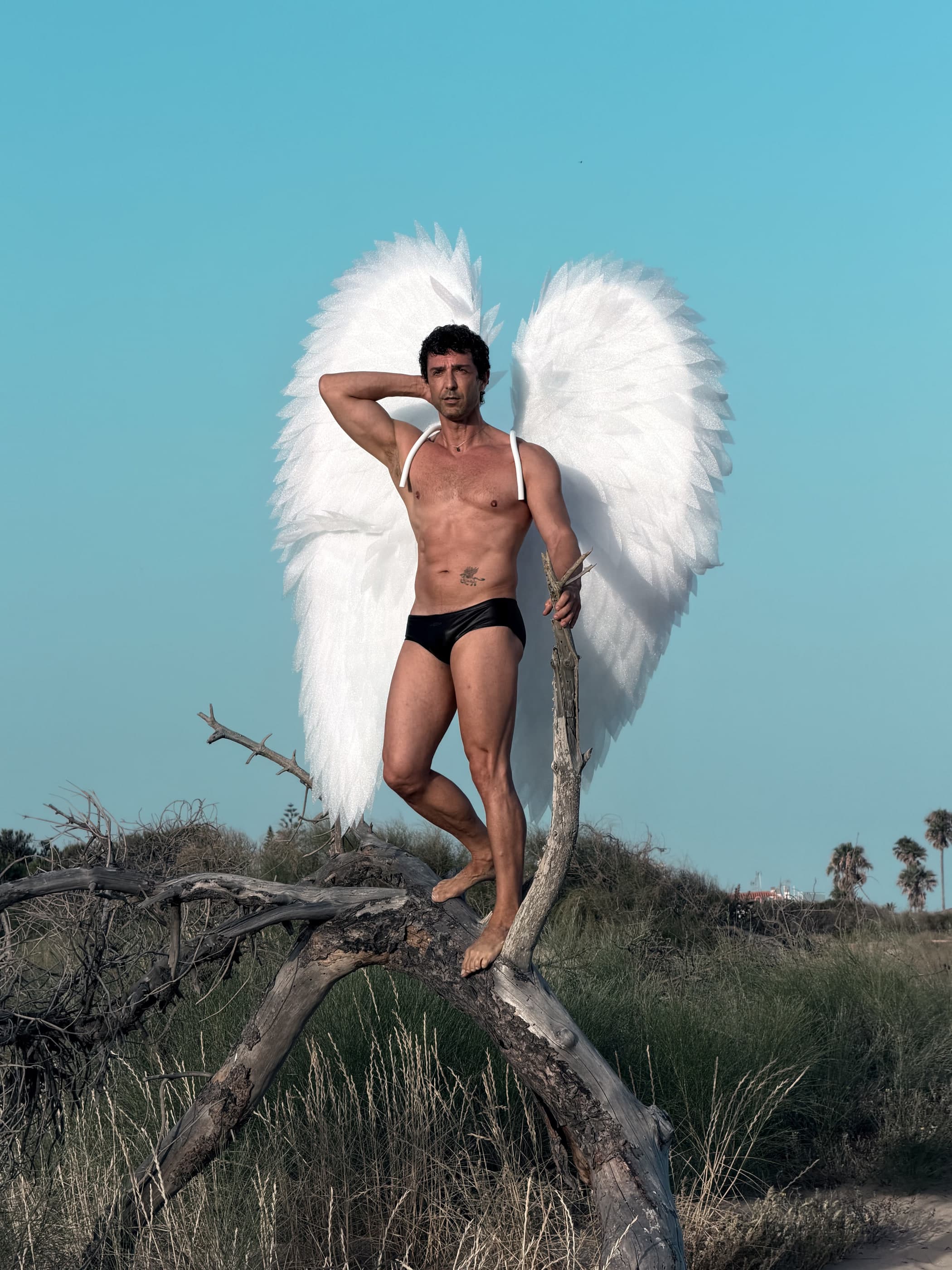 Las alas recortadas contra el cielo, con la sombra del plumaje dibujada en el suelo.