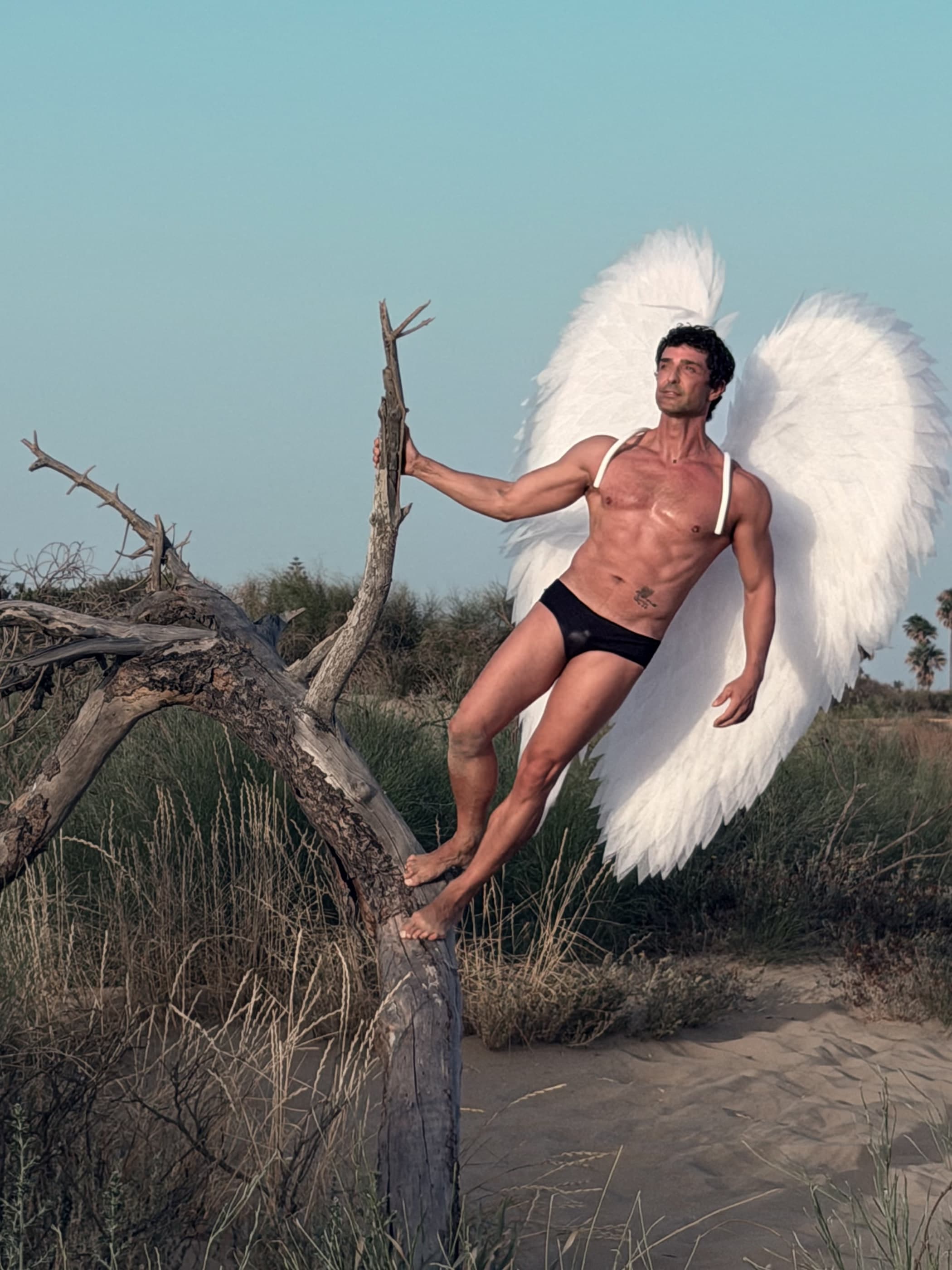 Las alas desplegadas mientras el cuerpo trepa a un tronco de la playa agarrado a una rama.